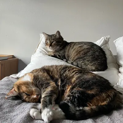 Xena & Sophie
